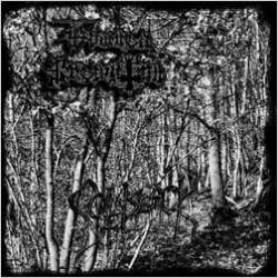 Damned Creation : Soilblack